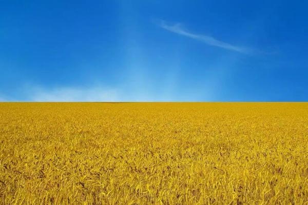 Комфортно доехать до границы Украины за миграционной картой — это реально